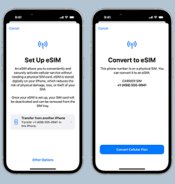 All About iPhone eSIM: What Is It? How to Activate It?