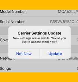 How to Manually/Automatically Update Carrier Settings on iPhone?